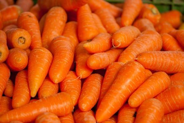 Cà rốt chứa nhiều chất xơ, vitamin E, A, giúp sáng mắt, hỗ trợ tiêu hóa và còn có khả năng chống viêm nhiễm