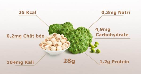 Nguồn dinh dưỡng có trong 28g hạt sen khi nấu cháo hạt sen cho bé