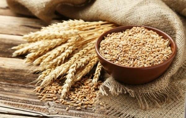 Lúa mì là một trong các loại hạt cho bé ăn dặm được sử dụng rất phổ biến