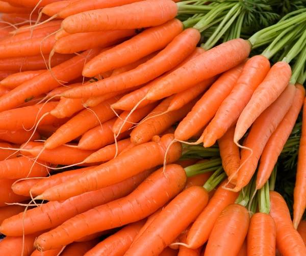 Cà rốt là loại rau củ rất tốt cho thị lực của trẻ